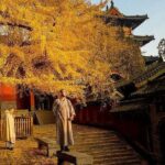 Luoyang Private Tour to Shaolin Temple including Kungfu Lesson - Why This Tour Offers Real Value