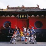 Luoyang: Shaolin Temple & Longmen Grottoes Private Day Tour - Who Will Love This Tour?