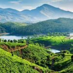 Luxurious, Overnight Alleppey Houseboat Tour (02 Days) - Practical Details and Considerations