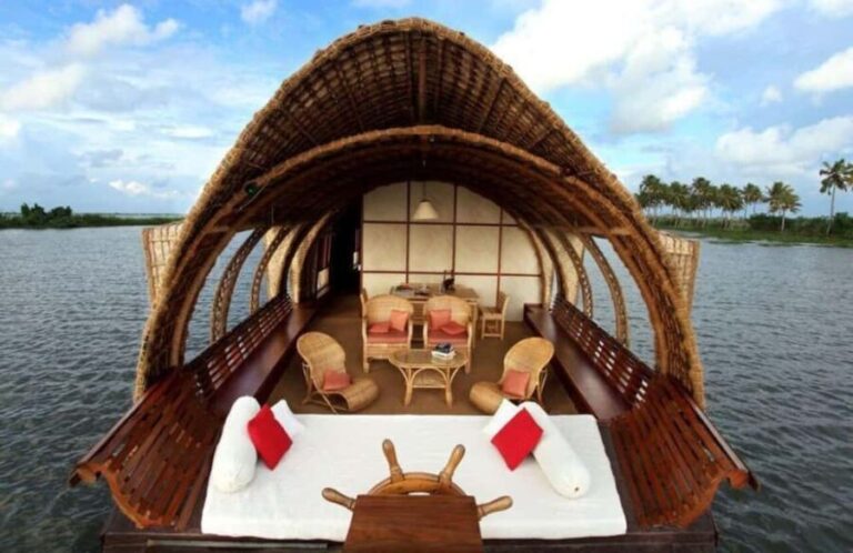 Luxury Backwater Cruise  One-Day Private Tour from Kochi - Final Thoughts: Who Should Book This Tour?