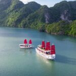 Luxury Halong Bay Day Trip From Hanoi - Who Will Appreciate This Tour?