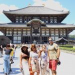 Luxury Kyoto 1-Day Private Car Tour with Nara & Osaka Options - Who This Tour Is Best For