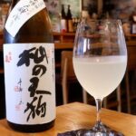 Luxury Kyoto Evening Sake Experience - Who Will Love This Tour?