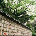Luxury Private Tokyo Tour - What Travelers Love