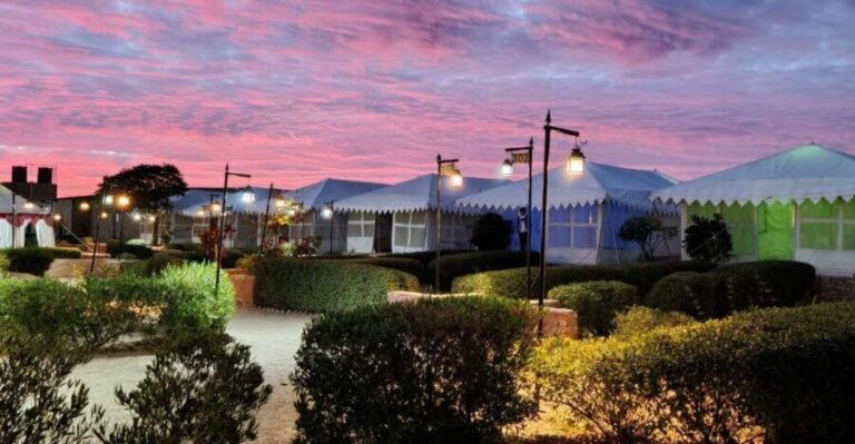 Luxury tent, dinner, breakfast, camel ride in thar desert - The Itinerary Breakdown: What to Expect