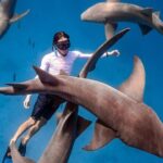 Maafushi: Ship wreck & Nurse shark snorkeling with Dolphin watching - FAQ