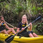 Madu River Sunrise Mangrove Kayaking - Final Thoughts: Is It Worth It?
