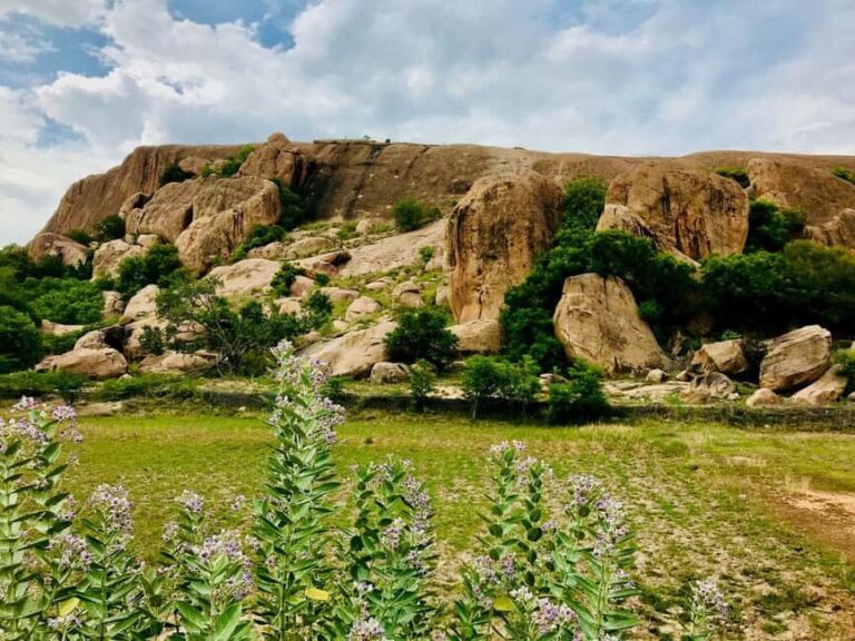 Madurai 2-Day Guided Tour with Meenakshi Temple Darshan - A Detailed Look at Your 2-Day Madurai Experience
