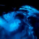 Magical Sunset and Evening with glowing plankton by Cat Ba Local - The Itinerary in Detail