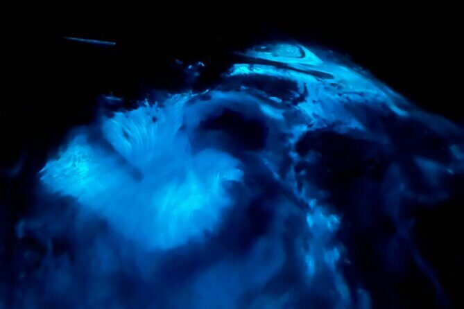 Magical Sunset and Evening with glowing plankton by Cat Ba Local - The Itinerary in Detail