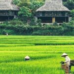 Mai Chau 1 Day: Cycle Through Peaceful Villages, Scenic Valleys - What Makes This Tour Stand Out?