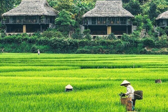 Mai Chau 1 Day: Cycle Through Peaceful Villages, Scenic Valleys - What Makes This Tour Stand Out?