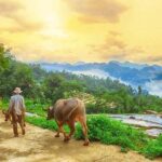 MAI CHAU 1 DAY TOUR | HIDDEN CHARM | SHARED or PRIVATE OPTIONS - Key Points