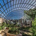 Malaysia: Discover Nature's Wonders with Entopia Entry Ticket - Exploring Entopia: A Closer Look