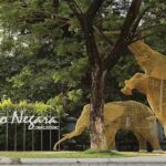 Malaysia National Zoo (Zoo Negara) with Giant Panda Viewing - The Ticket Experience and Value