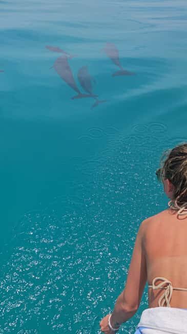 Maldives, Dhiffushi Shared Sunset Dolphin Cruise - Who Is This Tour Best For?