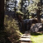 Manali Nature Walk (3 Hours Guided Trekking Experience) - The Sum Up