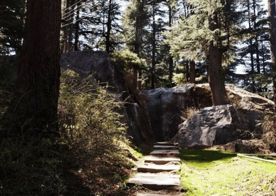 Manali Nature Walk (3 Hours Guided Trekking Experience) - The Sum Up