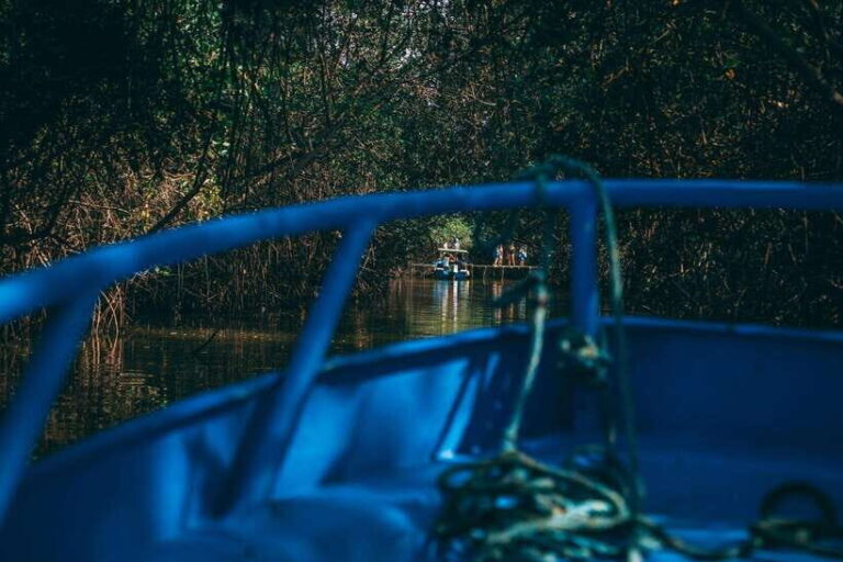 Mancora: Puerto Pizarro - Tour Mangrove Mysteries - Final Thoughts