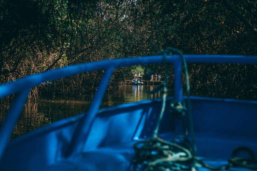 Mancora: Puerto Pizarro - Tour Mangrove Mysteries - Final Thoughts