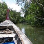 Mangrove Boat Tour in Krabi - Who Will Love This Tour?