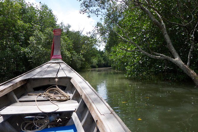 Mangrove Boat Tour in Krabi - Who Will Love This Tour?