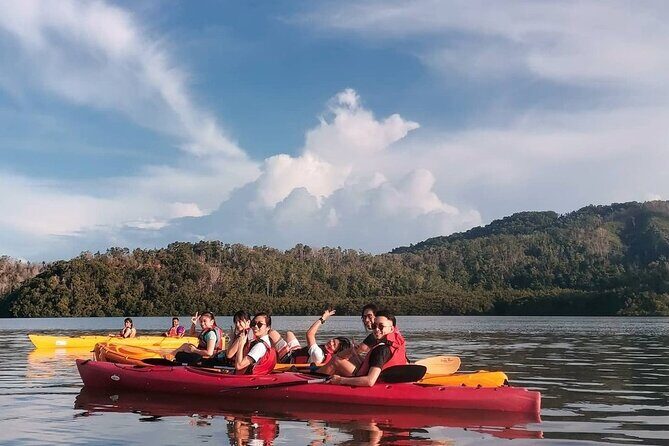 Mangrove Kayaking Experience in Borneo - Who Should Consider This Tour?