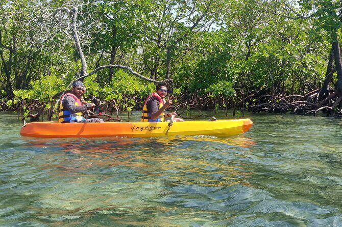 Mangroves Kayaking At Havelock - A Detailed Look at the Mangroves Kayaking Tour