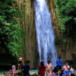 Mantayupan Falls & Moalboal: Snorkeling & Sardine Run Tour - Whats in the Experience for You?