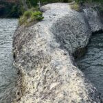 Matsushima Coastal and Spiritual Day Tour - Who Is This Tour Best For?