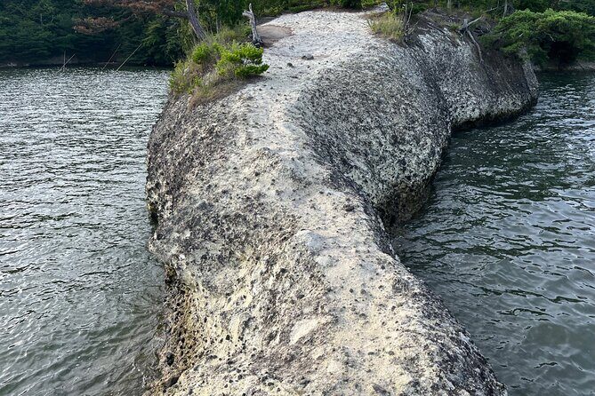 Matsushima Coastal and Spiritual Day Tour - Who Is This Tour Best For?