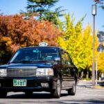 Matsuyama Ehime Private Transport and Travel - Who should consider this transfer?