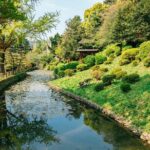 Matsuyama Private Customizable Full Day Tour - A Typical Day, Custom-Tailored
