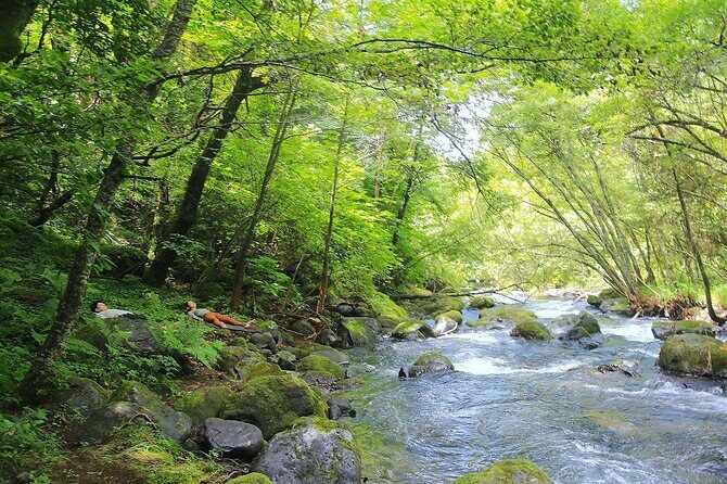 Meditation Experience in Nature with Primeval Forest and Springs - Exploring the Meditation Tour in Nagano: What You Can Expect