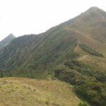 Meesapulimala Sunrise trek( By Munnar Info) - An In-Depth Look at the Meesapulimala Sunrise Trek