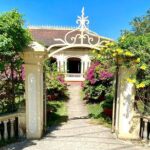 MEKONG DELTA TOUR TO FLOATING MARKET CAI BE from HCM city - What Travelers Say: Authentic Feedback and Tips