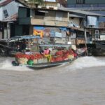 Mekong Delta Trip To Cai Be - Tan Phong Island With Lunch - Who Will Love This Tour?