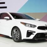 Mia Resort to Nha Trang - Private Transfer - Who Should Book This Transfer?