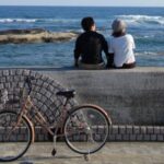 Minamiboso City Tourist Discover Hidden Gems by E-Bike! - A Closer Look at the Minamiboso E-Bike Tour