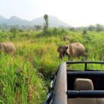 Minneriya And Kaudulla National Park Safari- From Sigiriya - A Detailed Look at This Safari Experience