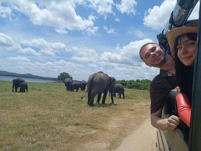 Minneriya: Half-Day Morning or Evening Jeep Safari - Practical Tips for Your Safari