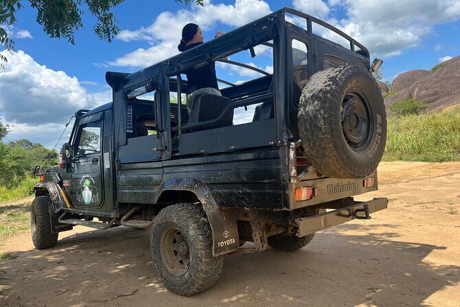 Minneriya National Park Elephant Safari from Sigiriya - Authentic Experiences Highlighted by Travelers