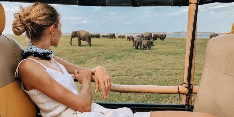 Minneriya National Park Safari in a 4x4 Vehicle - Who Is This Safari Best For?