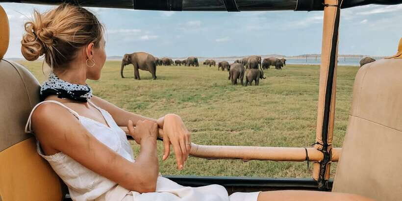 Minneriya National Park Safari in a 4x4 Vehicle