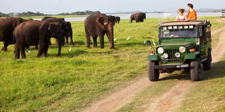 Minneriya:Jeep Safari From Sigiriya - An In-Depth Look at the Minneriya Jeep Safari