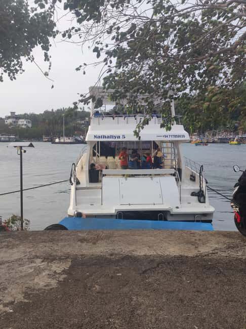 Mirissa: Sunset Whale Watching Boat Tour with Music - An In-Depth Look at the Mirissa Sunset Whale Watching Tour