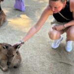 Miyajima History Walking Tour - Final Thoughts: Is This Tour for You?