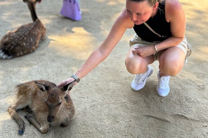 Miyajima History Walking Tour - Final Thoughts: Is This Tour for You?