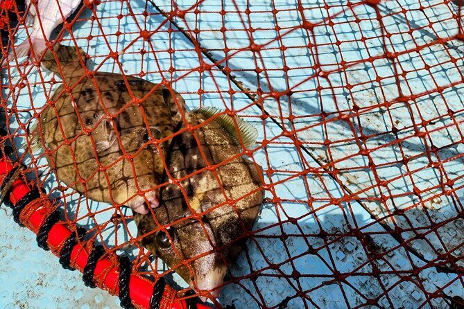 Mizuhashi Fishing Port Tokyo City Sightseeing - Is This Tour Right for You?