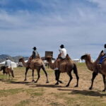 Mongolia: Mini Gobi, Orkhon, and Kharkhorin 4 Day Tour - Practicalities and Value